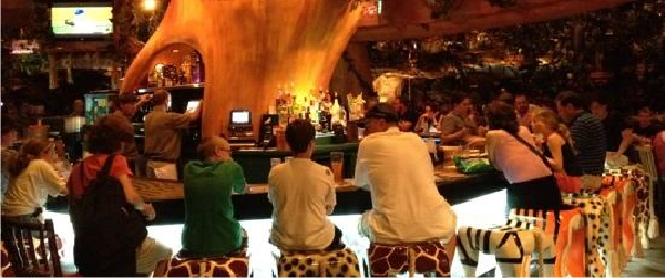 Best Rain Forest Restaurant in pune